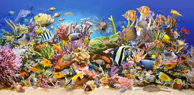 Puzzle Unterwasserleben 4000 Teile CASTORLAND