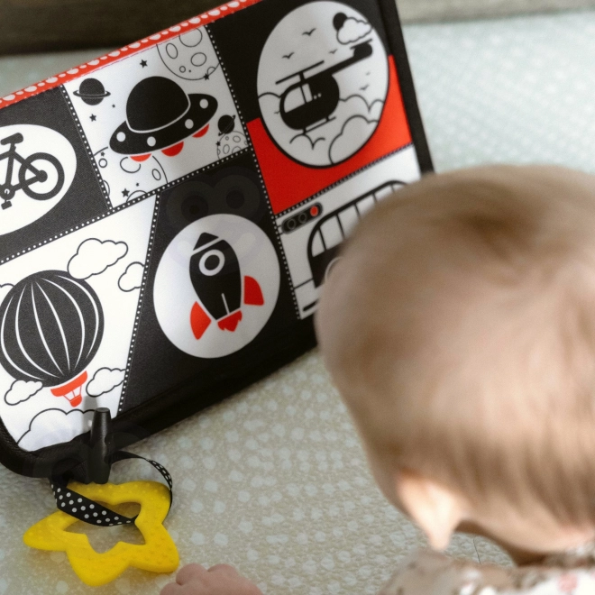 Tooky Toy großes Montessori-Sensorik-Set für Kleinkinder