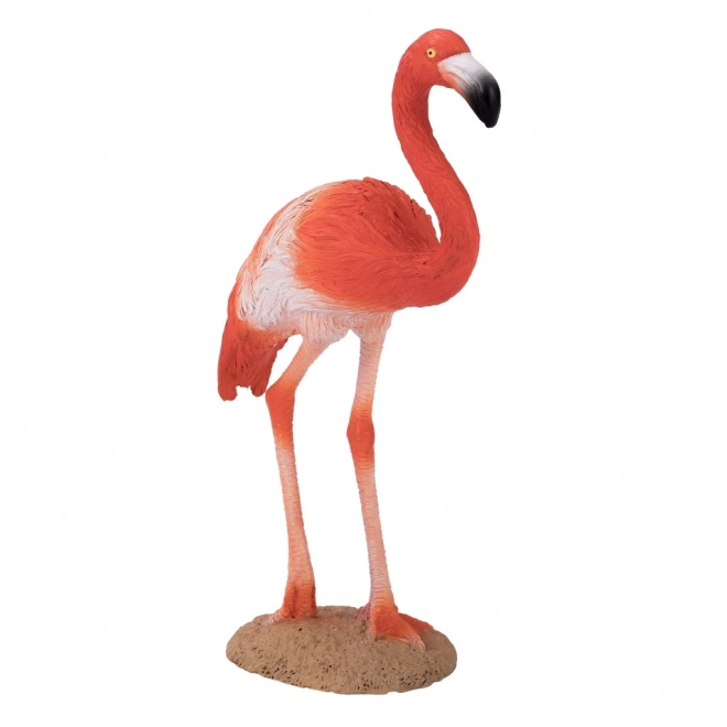 Mojo Karibischer Flamingo