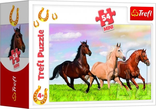 Schöne Pferdemotive