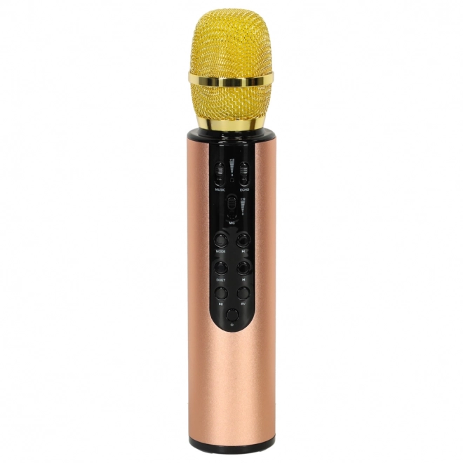 Karaoke drahtloses Bluetooth-Mikrofon schwarz – Gold