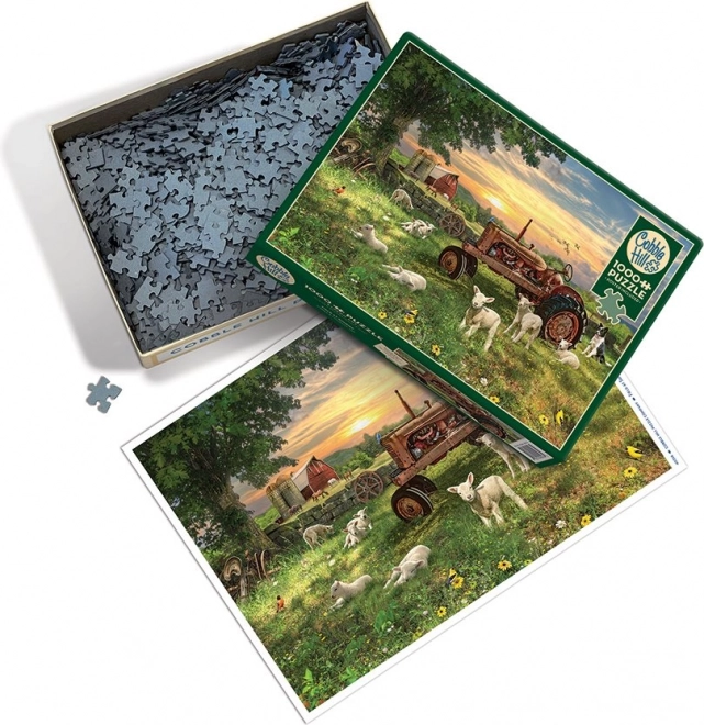 Puzzle Feld bei Sonnenaufgang von Cobble Hill 1000 Teile