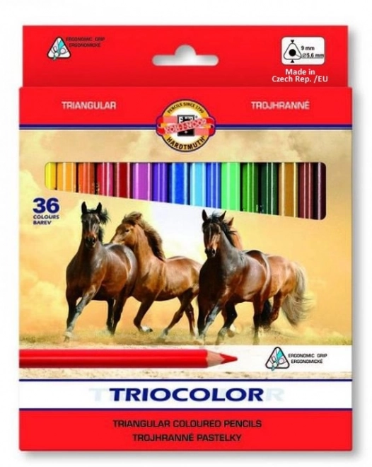 Koh-i-noor dreikantige Buntstifte Triocolor Set – 36 Stück