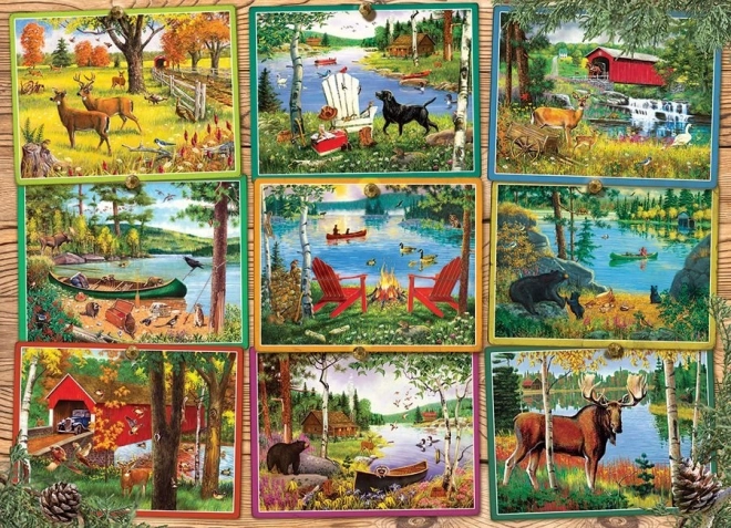 Cobble Hill Puzzle Seeblicke 1000 Teile