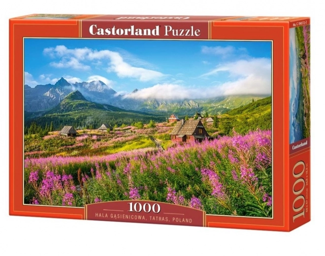 Puzzle 1000 Teile Hala Gąsienicowa, Tatra, Polen