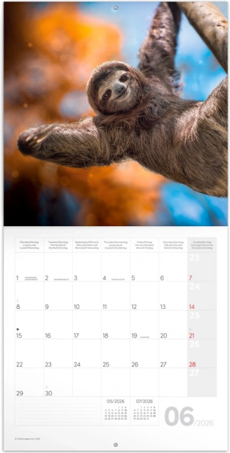 Notizkalender Lächeln, bitte 2026