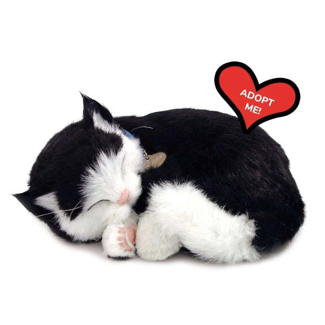 Interaktives Spielzeug Perfect Petzzz schwarz-weiß Katze