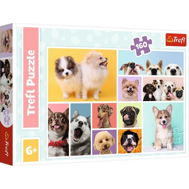 160-teiliges Puzzle Hundefreundschaft