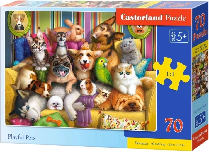 Lustiges Haustiermotiv