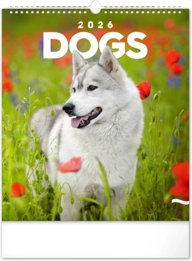 Wandkalender Hunde 2026