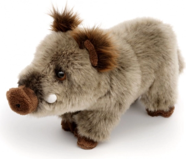 Realistische Details des Wildschweins