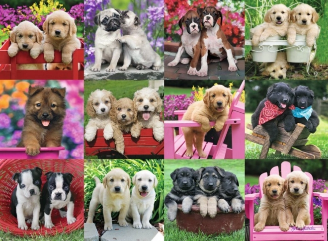 Puzzle Hundefreunde 500 Teile