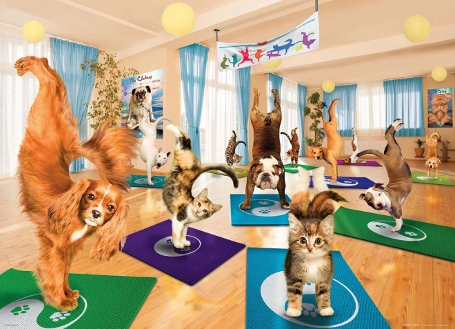 Eurographics Puzzle Yoga Studio XL