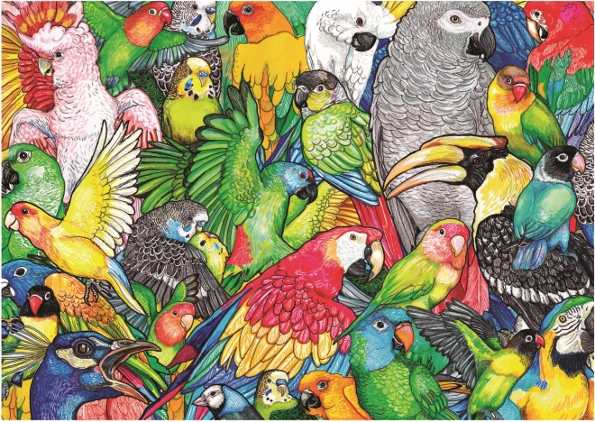 Papageien Puzzle 500 Teile