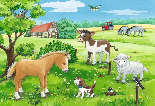 Ravensburger Puzzle Tierbabys 2x12 Teile