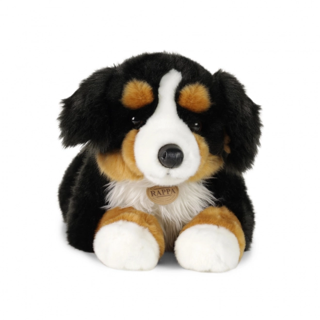 Großer Plüsch Berner Sennenhund liegend 61 cm