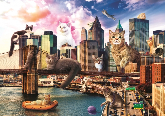 Legrační Städte Puzzle: Katzen in New York - 1000 Teile