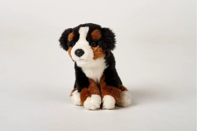 Plüsch Berner Sennenhund 16 cm