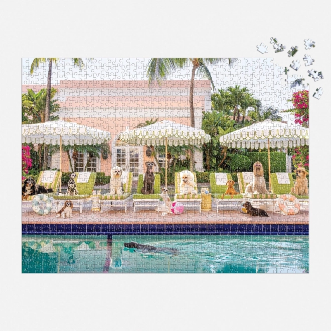 Puzzle Am Pool in Palm Beach 1000 Teile