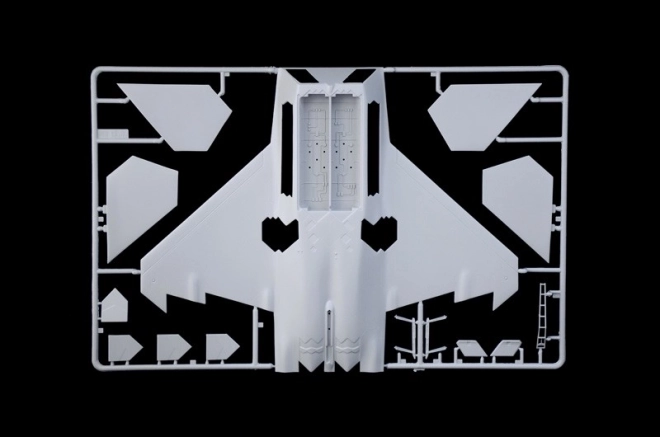 Modell Lockheed Martin F-22A Raptor
