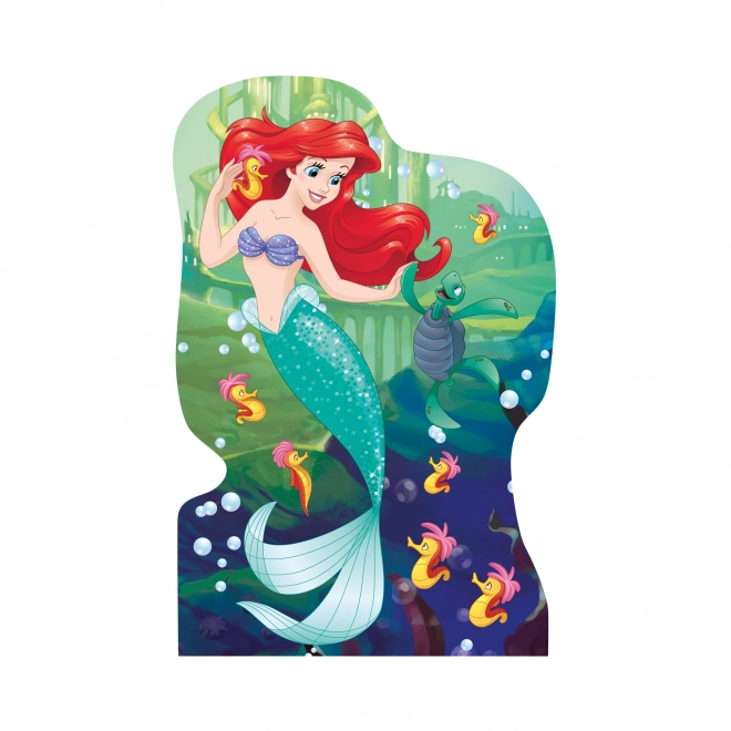 Konturpuzzle mit Disney Prinzessinnen 4x54 Teile