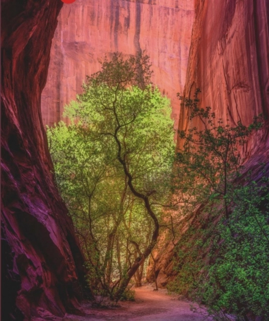 Heye Puzzle Power of Nature: Singender Canyon 1000 Teile