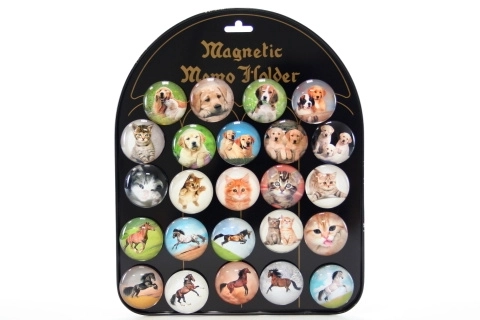 Magnettiere für Magnettafeln
