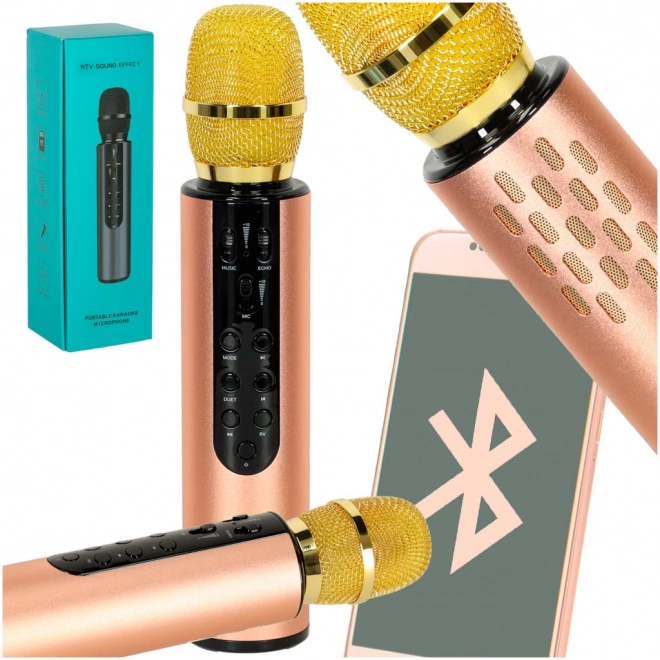 Karaoke drahtloses Bluetooth-Mikrofon schwarz – Gold