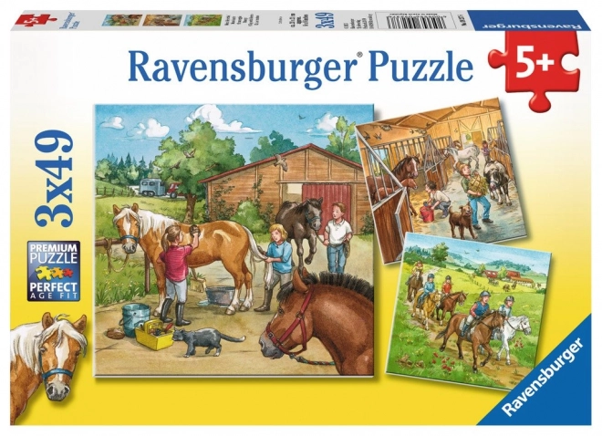 Ravensburger Puzzle Ein Tag bei den Pferden 3×49 Teile
