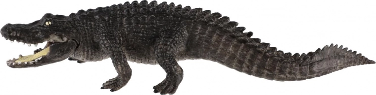 Ideal für Bildung und Sammeln