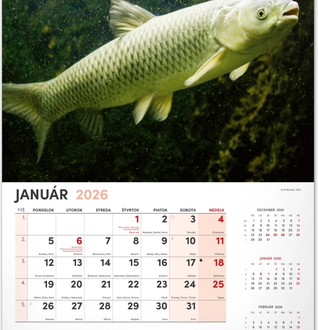 Wandkalender Angeln 2026