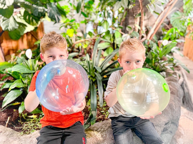 Jumbo Ballon für drinnen und draußen