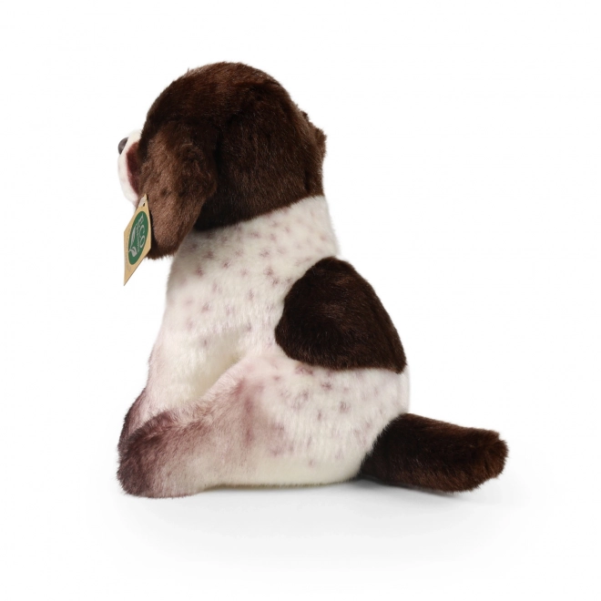 Plüschhund Deutsch‑Kurzhaar 24 cm – RAPPA