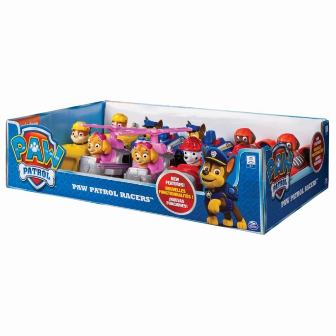 Paw Patrol kleines Fahrzeug mit Figur verschiedene Arten