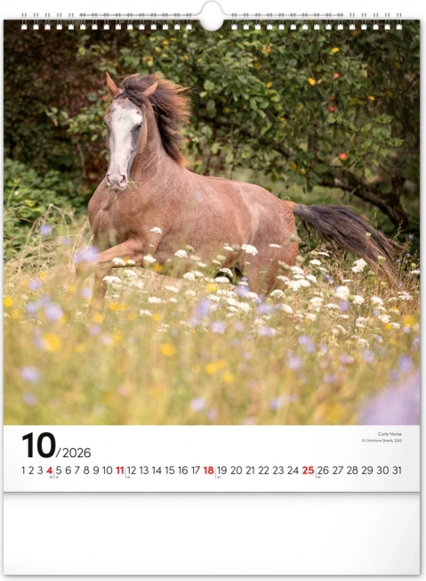Wandkalender Pferde 2026