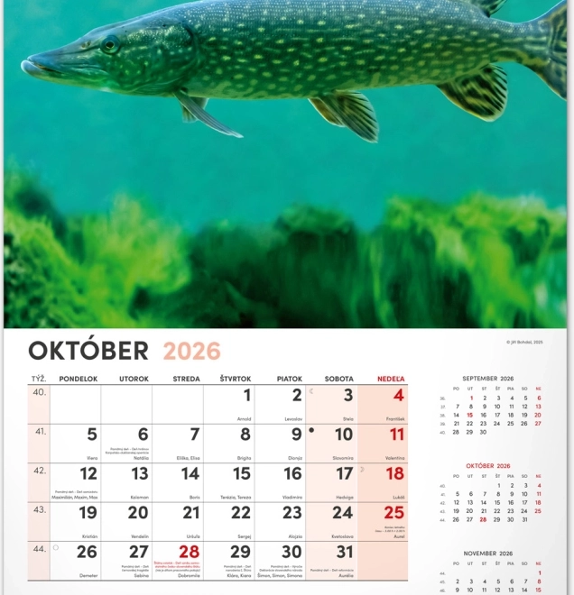 Wandkalender Angeln 2026