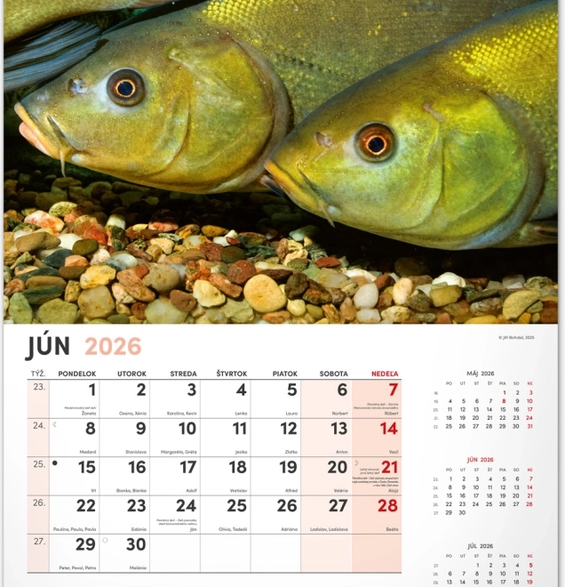 Wandkalender Angeln 2026