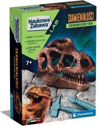 Wissenschaftsset Fossilien Schädel T-Rex