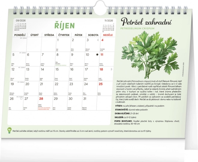 Notique Monatsplaner Kalender mit Samen 2026