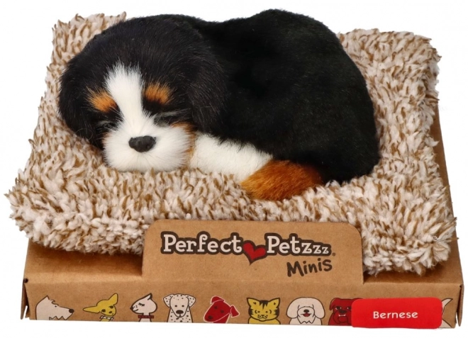 Perfekte Haustiere Berner Sennenhund Welpe auf Bettchen