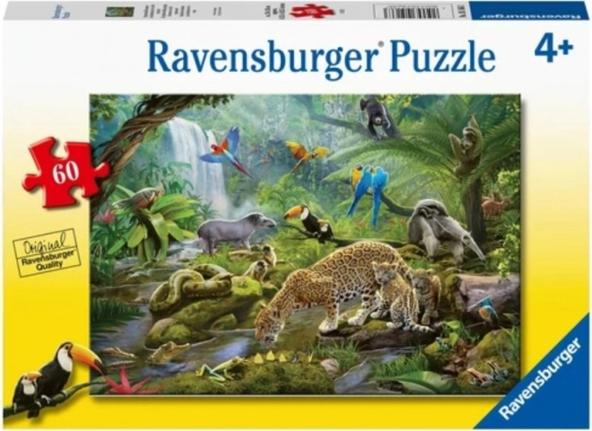 Ravensburger Puzzle Tiere im Regenwald 60 Teile