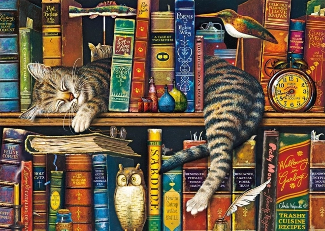 Schmidt Puzzle Frederick 1000 Teile