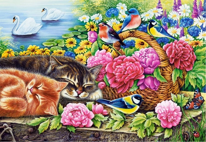 Puzzle 1000 Teile Katzen in Blumengärten Entspannter Sonntag