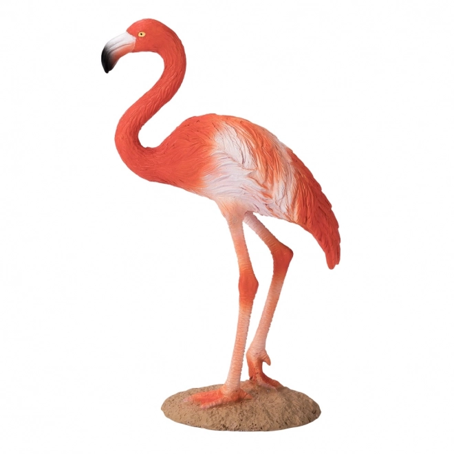 Mojo Karibischer Flamingo