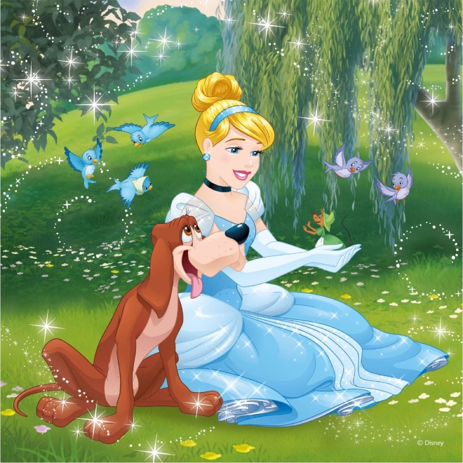 Disney Prinzessinnen Puzzle Set