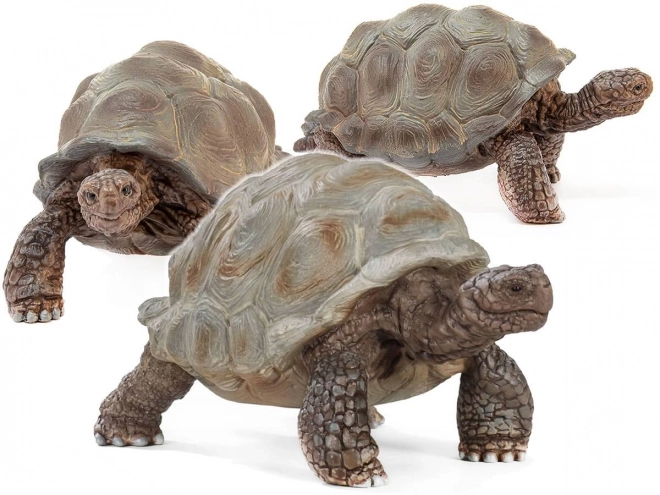 Schleich Wild Life Riesenschildkröte