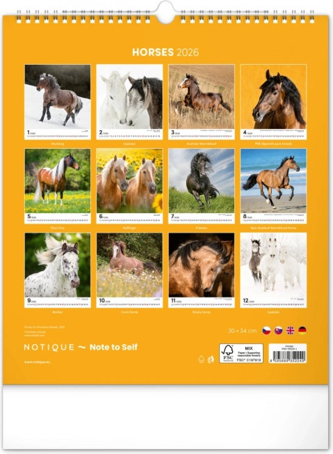 Wandkalender Pferde 2026