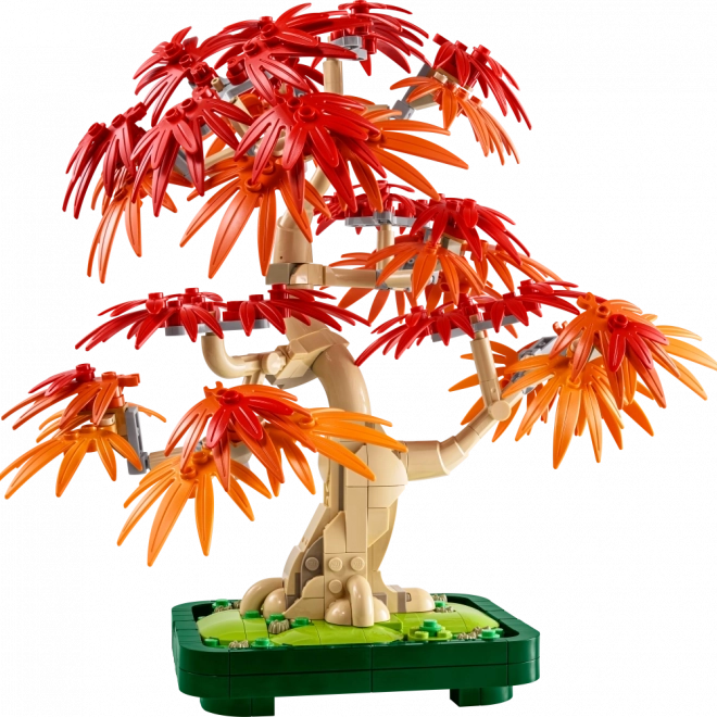 LEGO Botanicals Bonsai – Japanischer Roter Ahorn