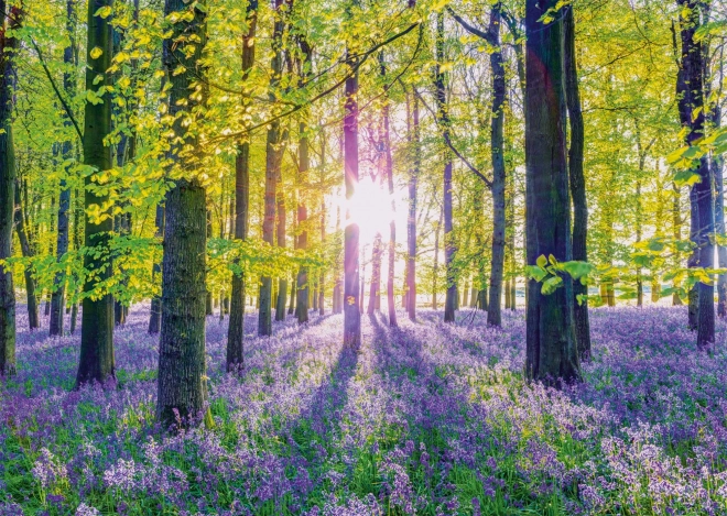Puzzle Sanfte Blaue Glocken im Wald 1000 Teile