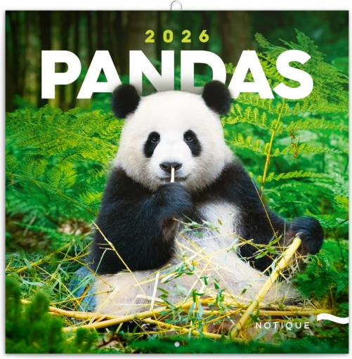 Notizkalender Pandas 2026